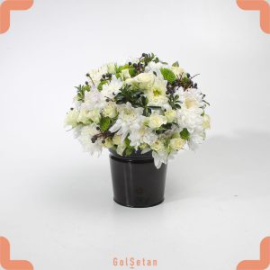 باکس گل داوودی و رز یا باکس نورا