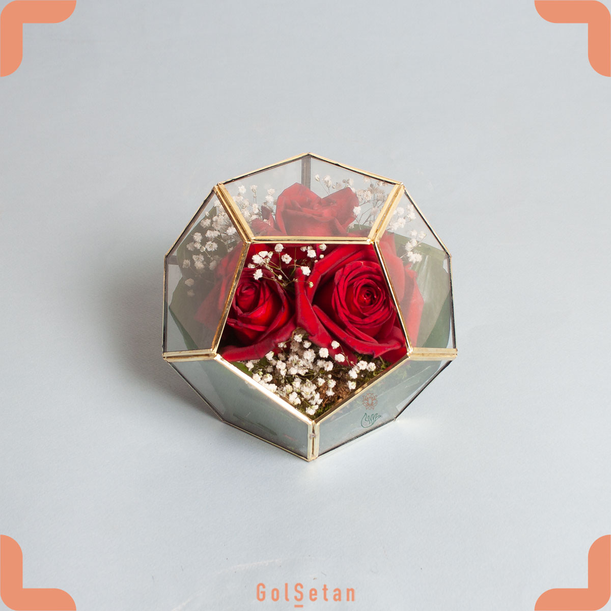 gypsophila-roze-terrarium تراریوم گل رز و عروس با طرح کندو