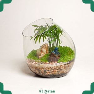 تراریوم چمن مونت کارلو و شامادورا