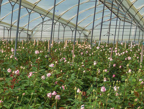 بهداشت واحد تامین