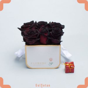 باکس گل رز هلندی مشکی زیبا و خاص