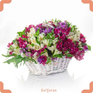 سبد گل زیبای آلسترومریا