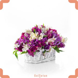 سبد گل آلسترومریا تازه
