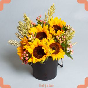 باکس گل آفتابگردان