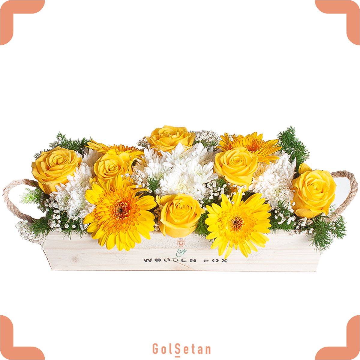 yellow-rose-gerbera باکس گل رز زرد و ژربرا جذاب و به یادماندنی