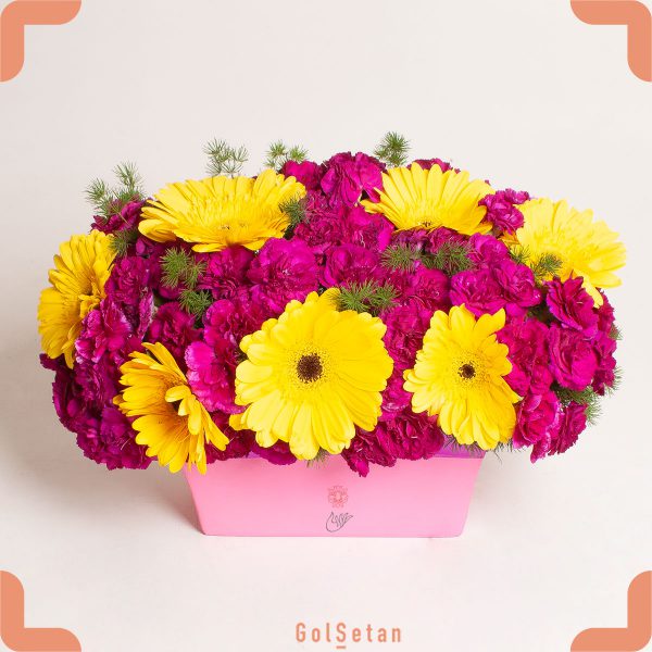 باکس گل ژربرا و میخک زیبا و شاد
