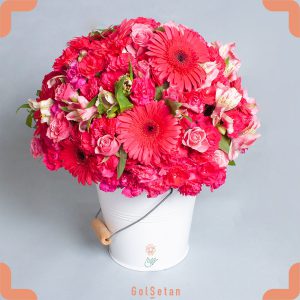 باکس گل ژربرا و رز زیبا و دست داشتنی