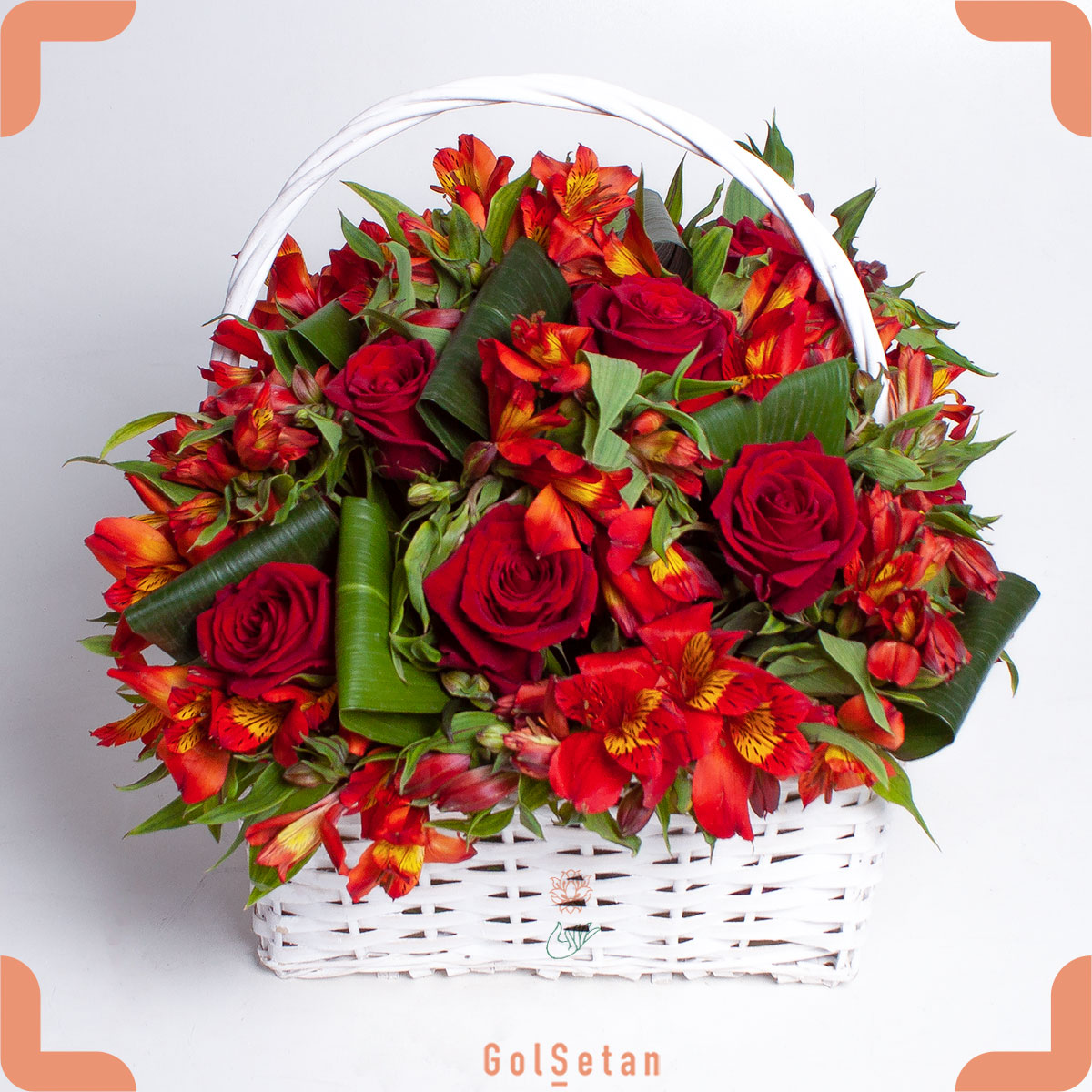 red-roses-alstroemeria-flower سبد گل رز و آلسترومریا سرخ آتشین