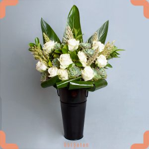 باکس گل رز سفید و ساکولنت