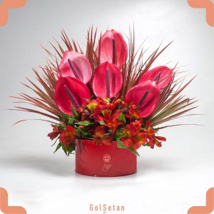 باکس آنتوریوم قرمز و آلسترومریا