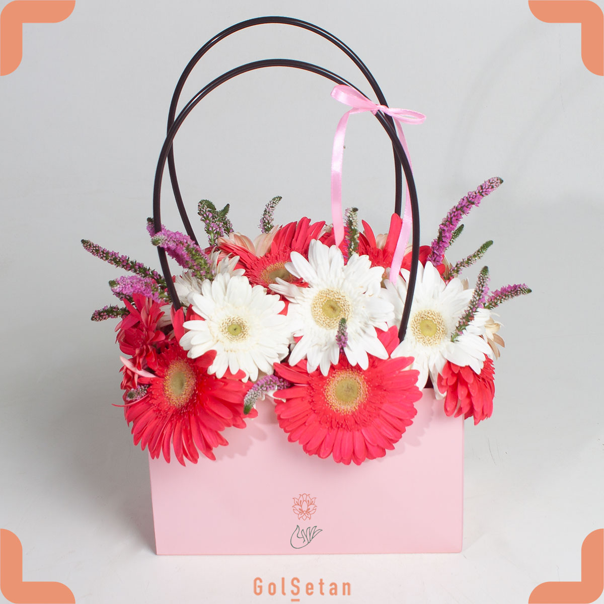 white-gerbera-box باکس گل ژربرا سفید و سرخابی هدیه ای فانتزی