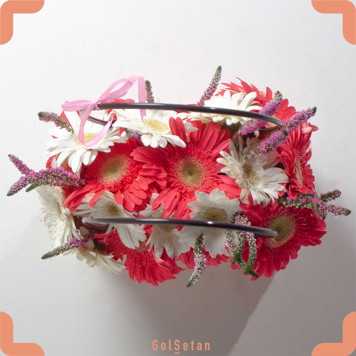 white-red-gerbera-flower-box باکس گل ژربرا سفید و سرخابی زیبا و دوست داشتنی