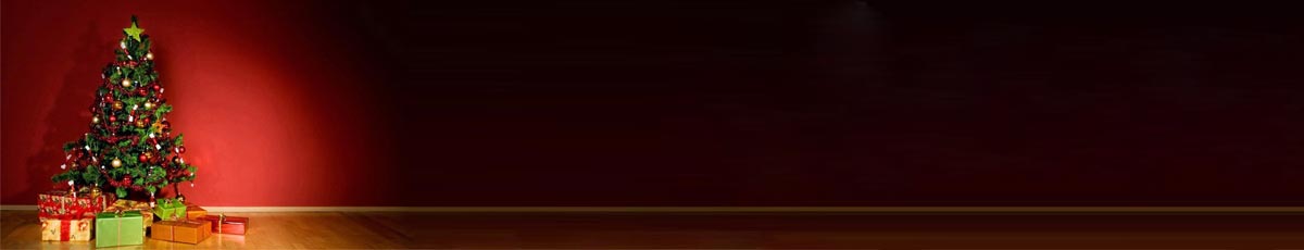 خرید گل برای کریسمس