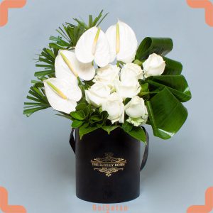 باکس گل رز و آنتوریوم سفید زیبا و شیک