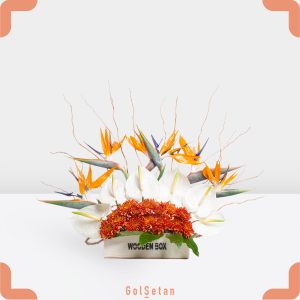 باکس گل آنتوریوم و استرلیتزیا می گل