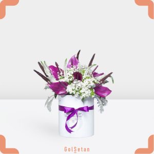 باکس گل آنتوریوم و قرنفل زیبا و لوکس