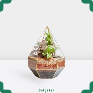 تراریوم باغ عدن الماس خاص