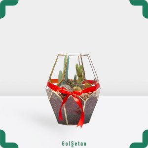 تراریوم لاکچری بزرگ