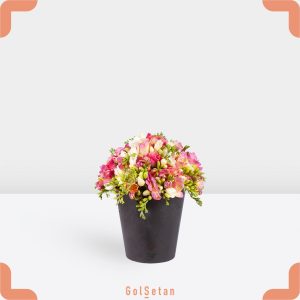 باکس گل رز و فریزیا صورتی