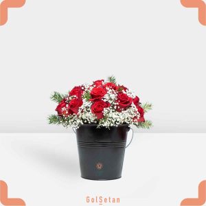 باکس گل رز و عروس