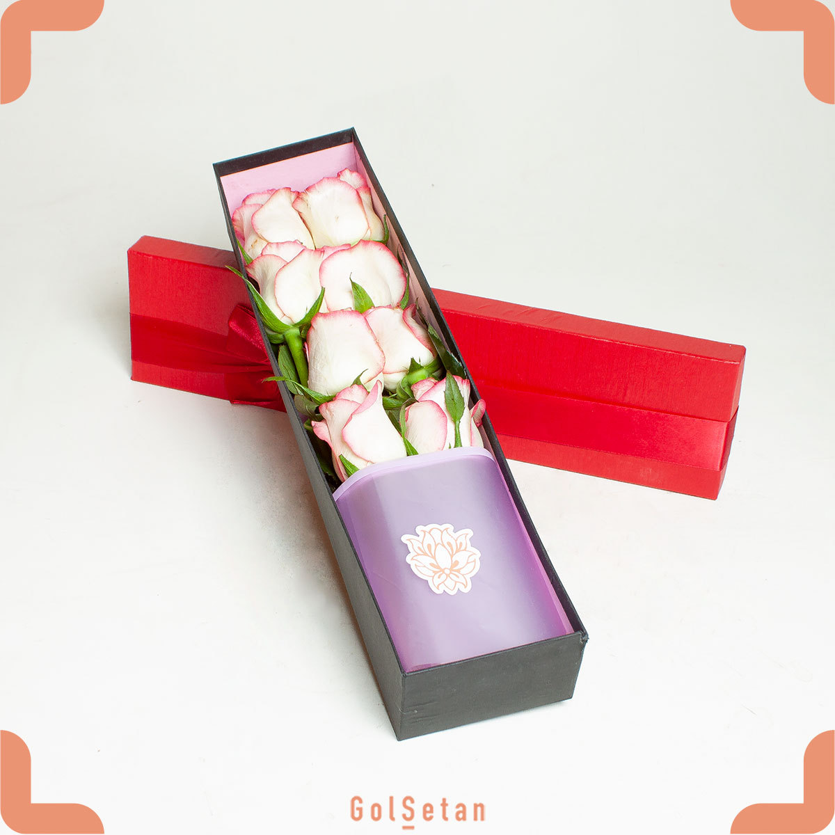 pink-roses-lying-down-box جعبه گل رز خوابیده رز صورتی