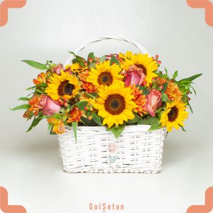 سبد آفتابگردان و داوودی و آلستر و رز