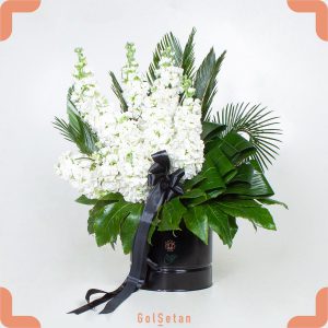 باکس گل شب بو سفید معطر و ملایم