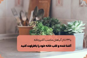 آشنایی با 23 تا از گیاهان مناسب آشپزخانه | گُل‌سِتان