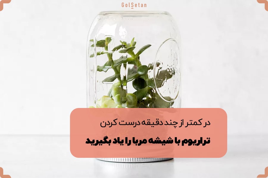 در کمتر از چند دقیقه درست کردن تراریوم با شیشه مربا را یاد بگیرید