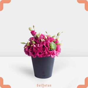 باکس گل لیسیانتوس شرابی و اشوریا