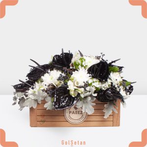 باکس داوودی سفید آنتوریوم مشکی