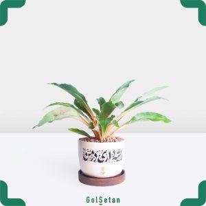 دراسنا فلامینگو با گلدان سفید شیک