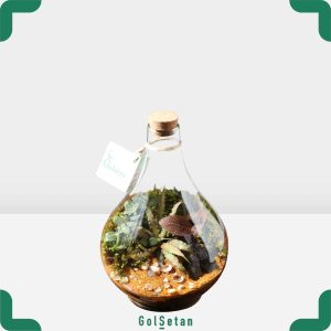 تراریوم فتونیا و کریپتانتوس