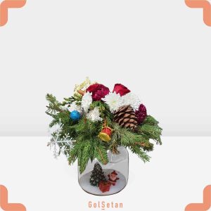 باکس شیشه ای داوودی و کاج نیکلاس