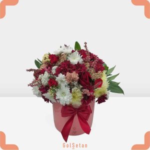 باکس داوودی قرمز و سفید زیبا