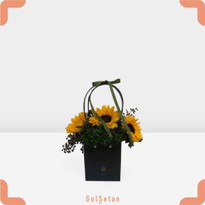 آقتابگردان در باکس مشکی شیک