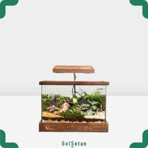 تراریوم مستطیلی فیتونیا و پتوس جذاب