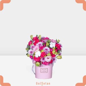 باکس میخک و لیسیانتوس سرخابی شیک