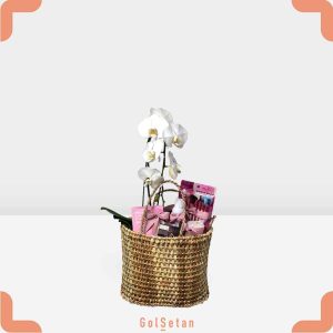 باکس ارکیده و لوازم آرایش ال دا