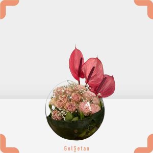 گل رز گلبهی در تنگ شیشه ای جذاب