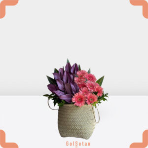 باکس آنتوریوم بنفش و ژربرا زیبا