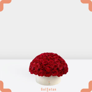 باکس استوانه رز هلندی قرمز جذاب