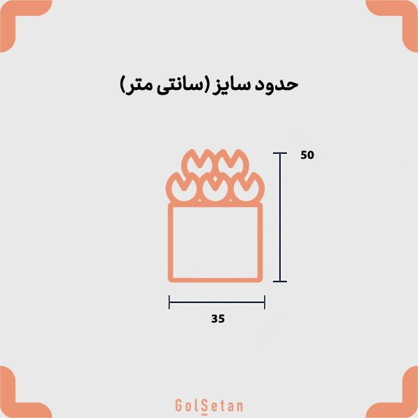 ابعاد رز قرمز در گلدان شیشه ای