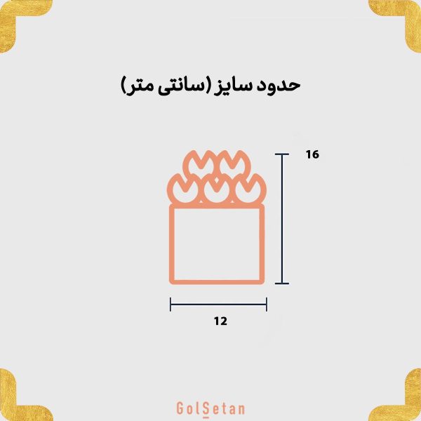 ابعاد رز جاودان پایه مشکی طلایی