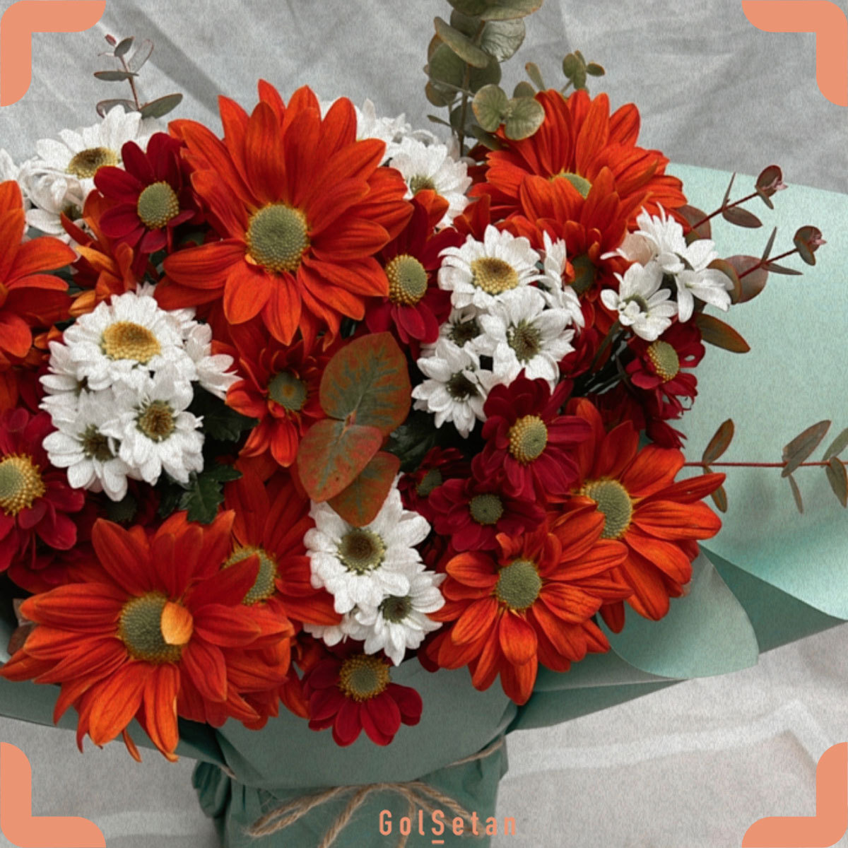 red-chrysanthemum-boquet دسته گل داوودی رنگارنگ