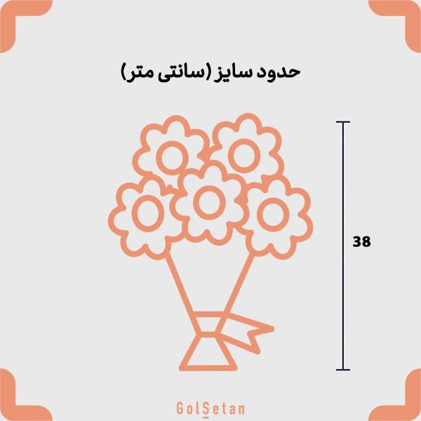 ابعاد دسته گل آلستر و ژربرا