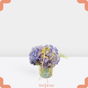 گلدان هورتانسیا هدیه ای جذاب