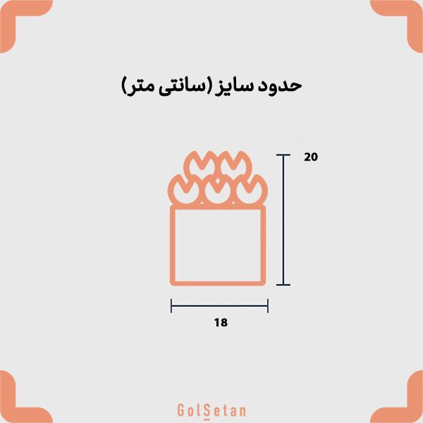 ابعاد گلدان هورتانسیا
