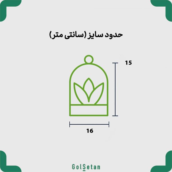 ابعاد تراریوم فیتونیا شاتل کوچک