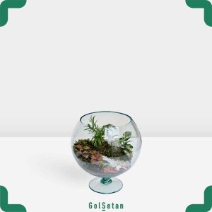 تراریوم سینگونیوم و شامادورا